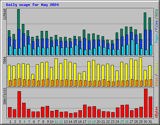 Daily usage for May 2024