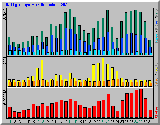 Daily usage for December 2024