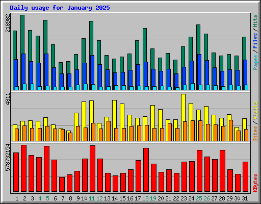Daily usage for January 2025