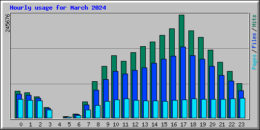 Hourly usage for March 2024