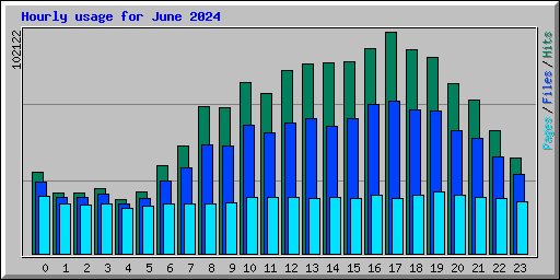 Hourly usage for June 2024