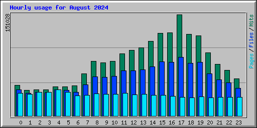 Hourly usage for August 2024
