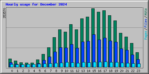 Hourly usage for December 2024