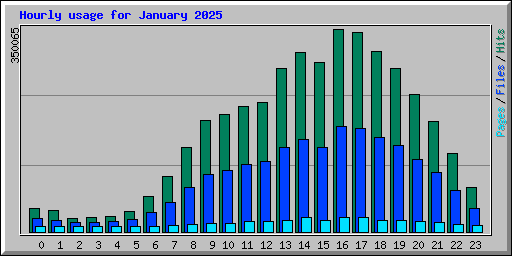 Hourly usage for January 2025