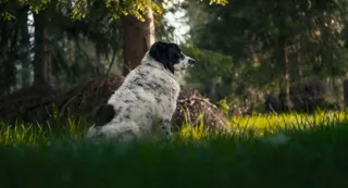 1497f052c916c0378eb40afa60d6be3f