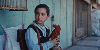 86b539752a6b89b86a0dcddfeb965123