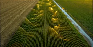 feldbewaesserung-im-marchfeld