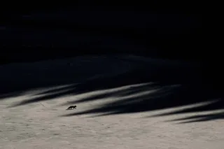 a5ecb292afd35323c0ba493853527eb1